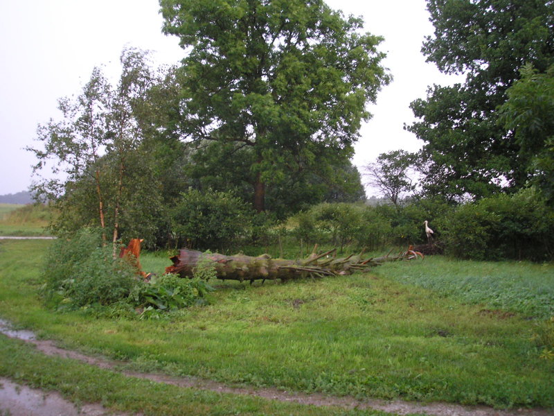P7260005.JPG