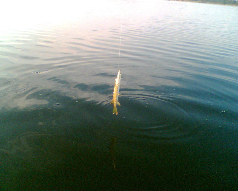41 002.jpg