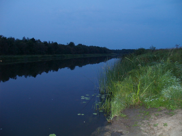 Picture 014.jpg