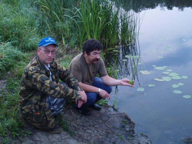 Picture 017.jpg