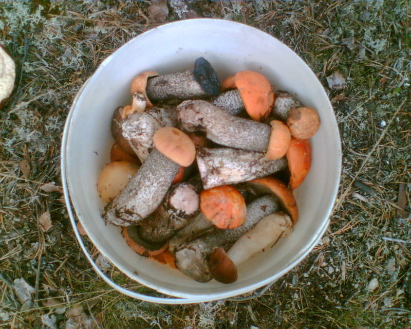 l 002.jpg