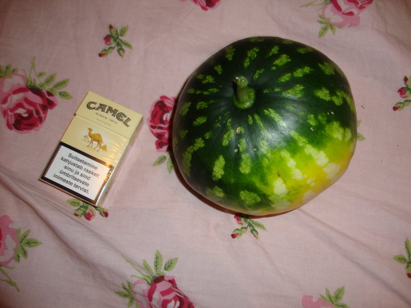 DSC02717.JPG
