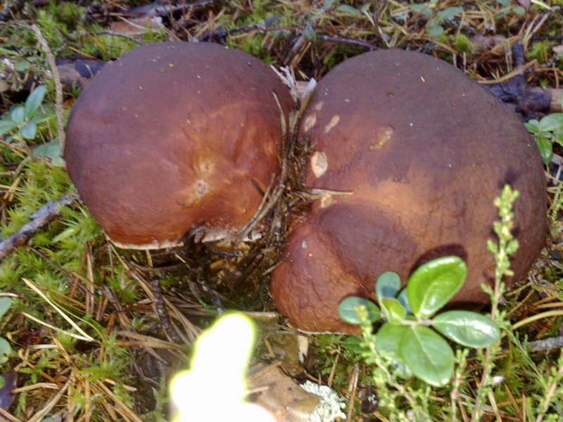 040920101224.jpg