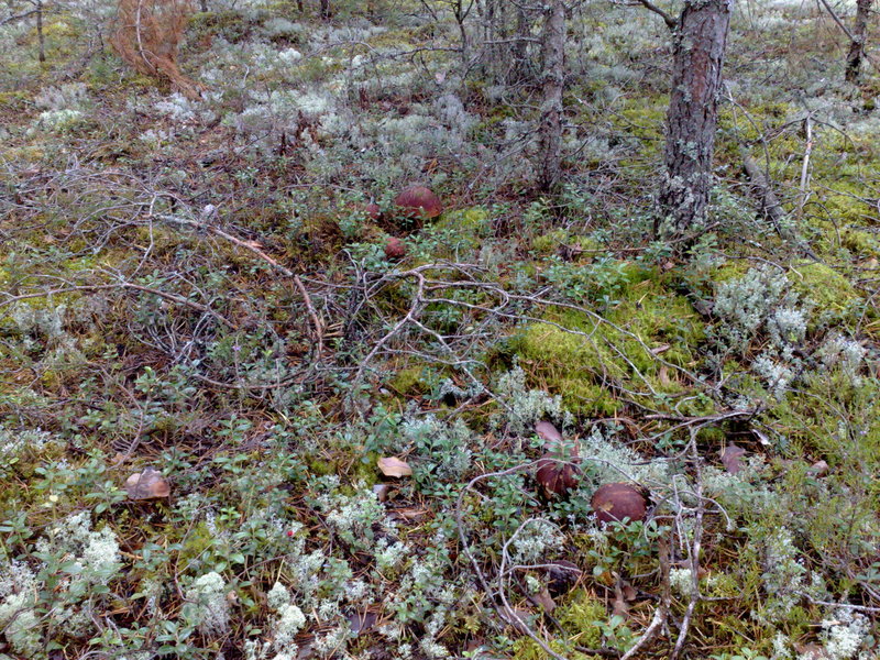 040920101227.jpg