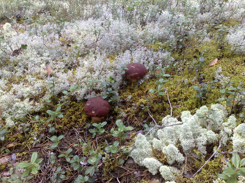 040920101231.jpg