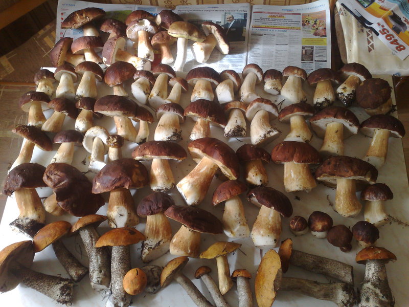 040920101239.jpg