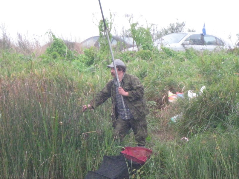 Vigala 012.jpg