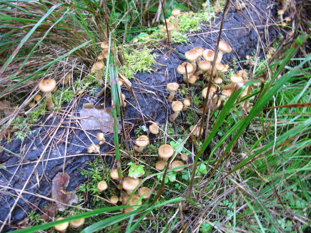 16.09.2010 002.jpg