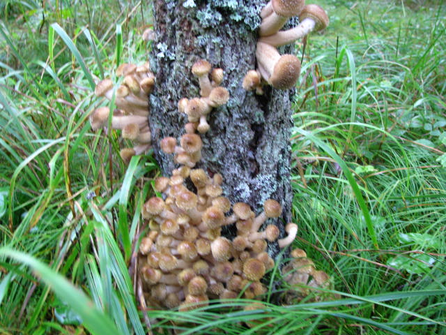 16.09.2010 003.jpg