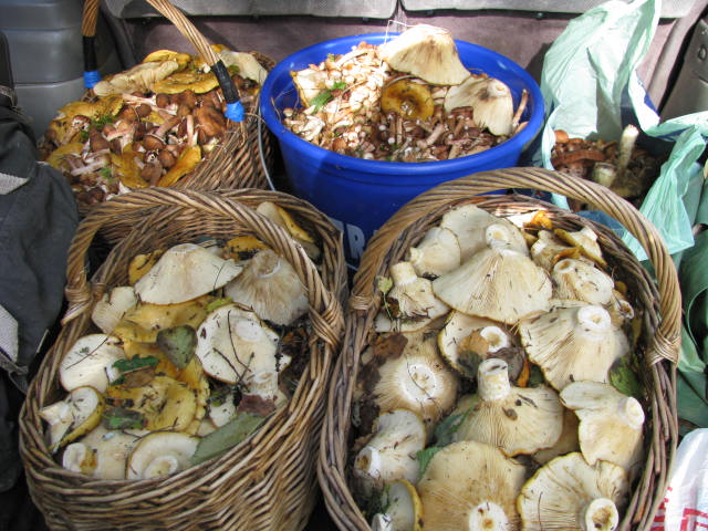 16.09.2010 005.jpg
