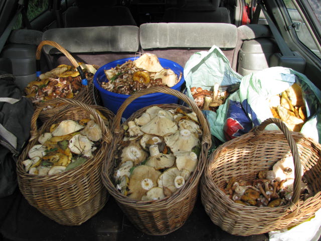 16.09.2010 006.jpg
