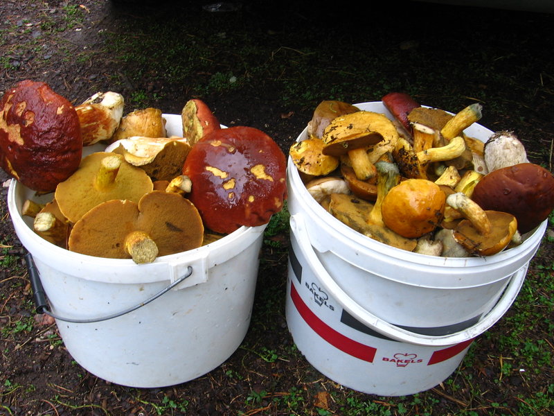 17.09.10 017.jpg