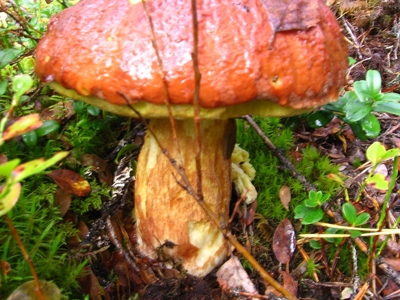 17.09.10 011.jpg