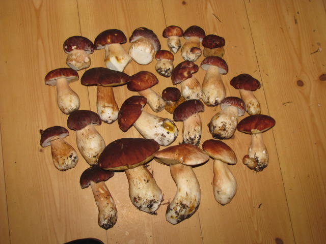 09.2010 018.jpg