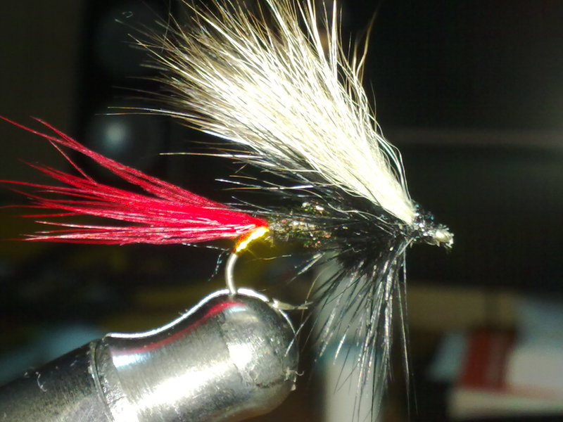30092010195.jpg