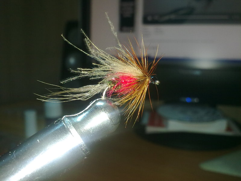 03102010227.jpg