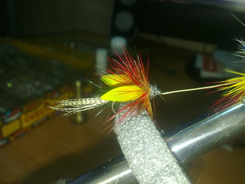 03102010231.jpg