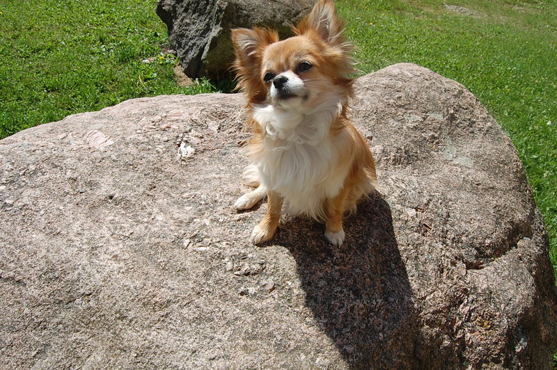 DSC_0428.JPG