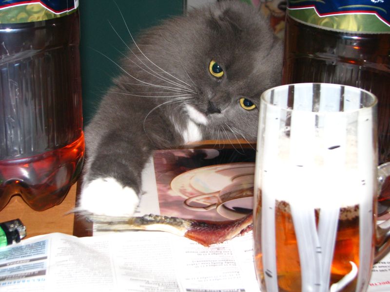 Свежак 011ю1.jpg