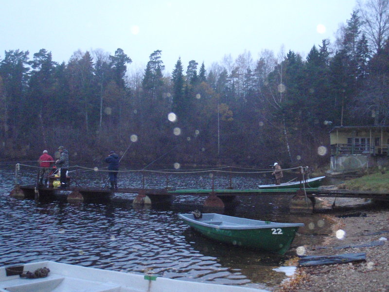 PAUNKULA 003.jpg