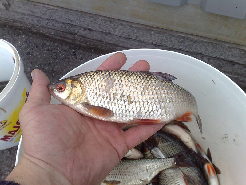 011120101404.jpg