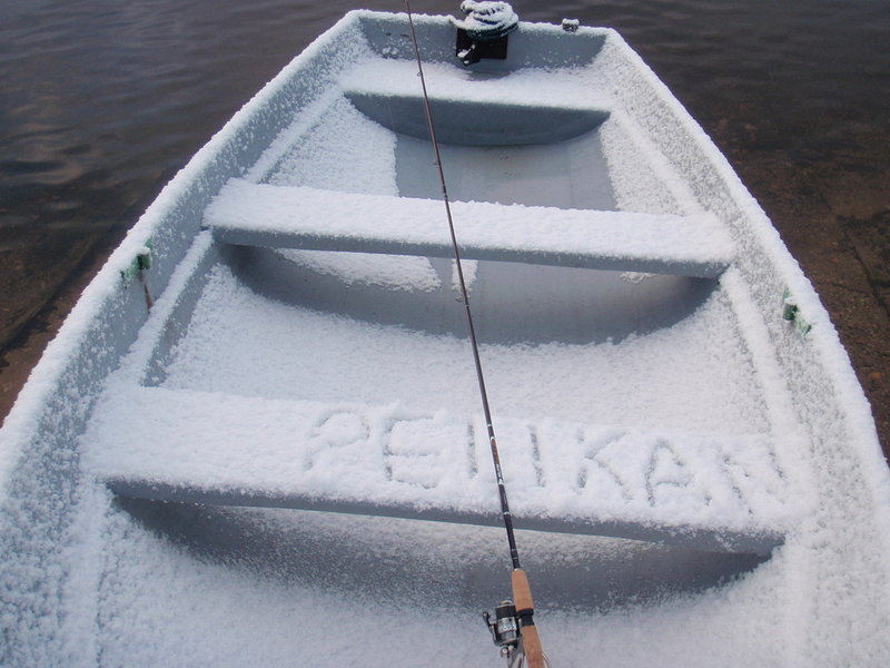 Paunk 005.jpg
