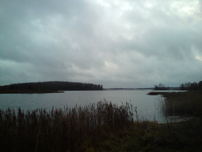 DSC00567.JPG