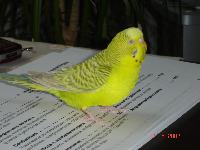 Picture 037.jpg