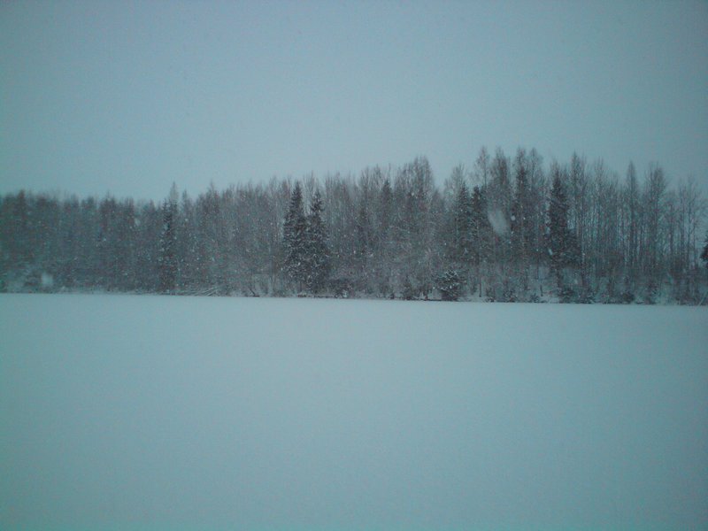DSC00596.JPG
