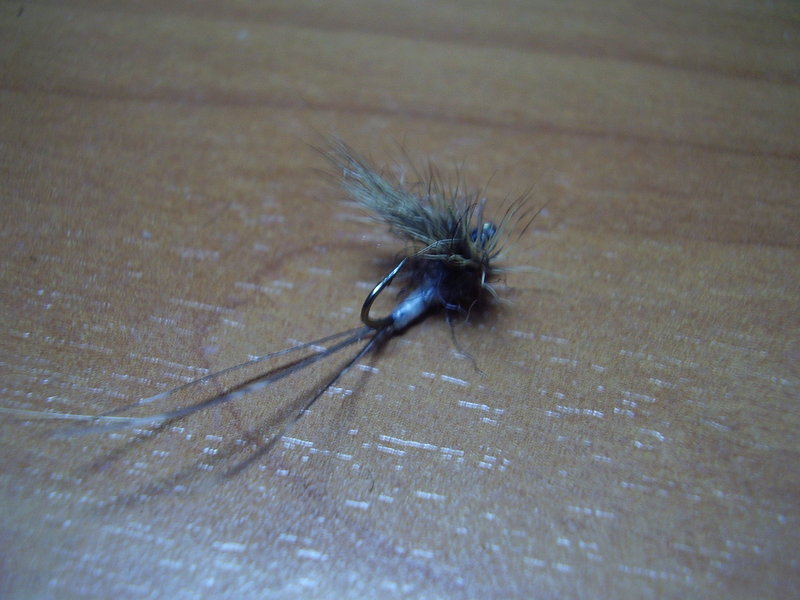 PB280035.JPG