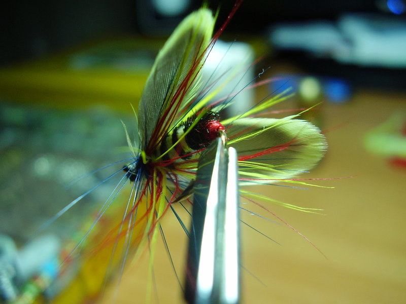 PB300007.JPG