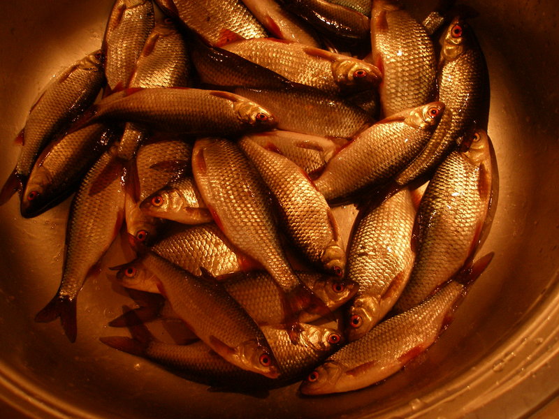 PC070122.JPG