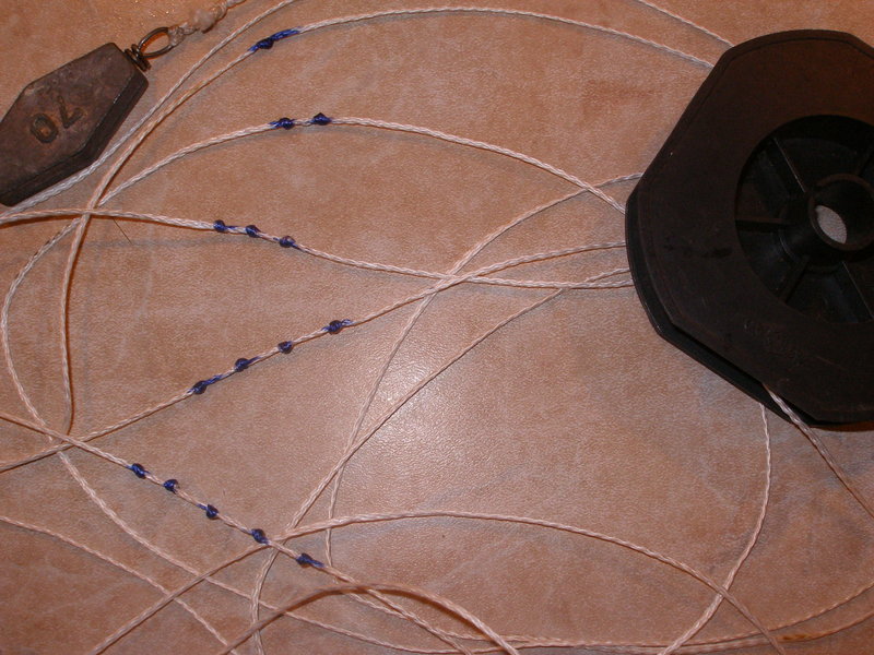 PC290146.JPG