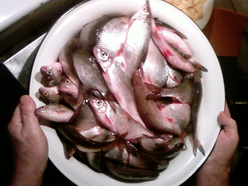 SP_A0197.jpg