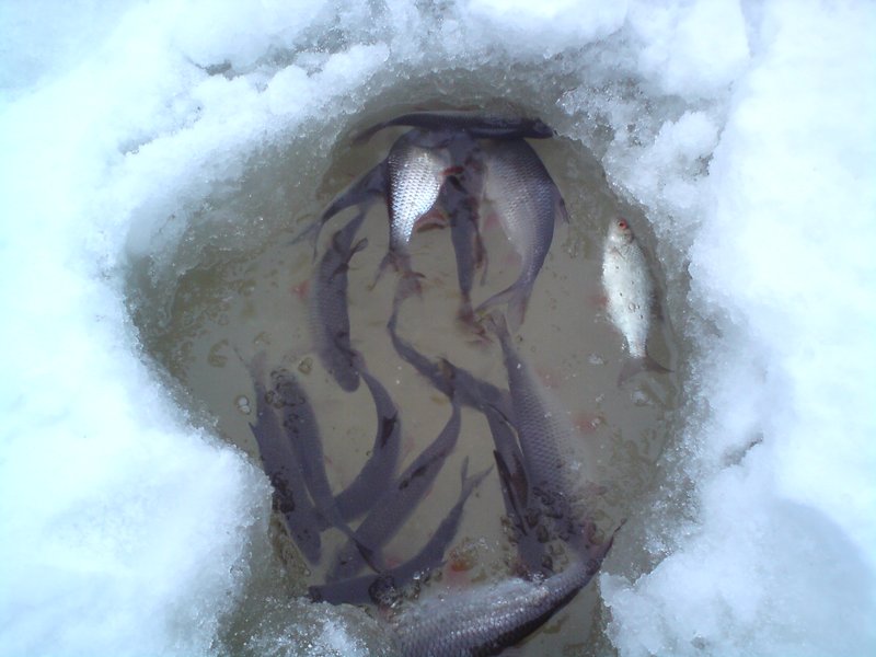 14.01.11 003.jpg