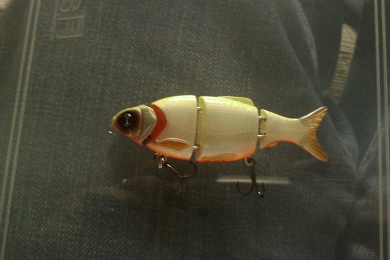izumi shad alive