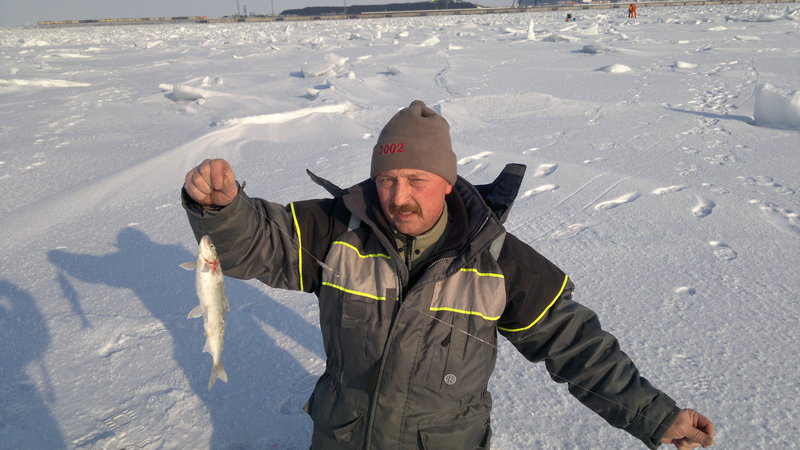 24022011347.jpg