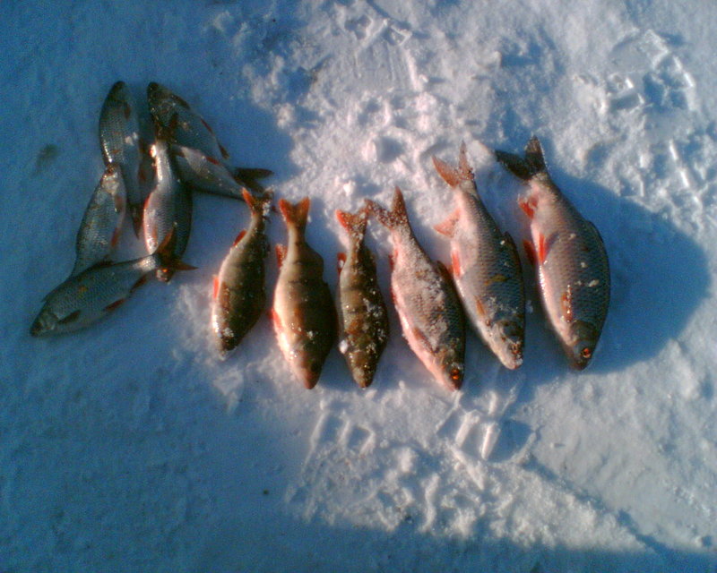 02.03.11 003.jpg