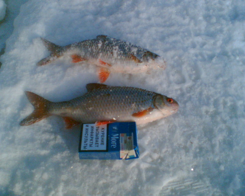 02.03.11 002.jpg