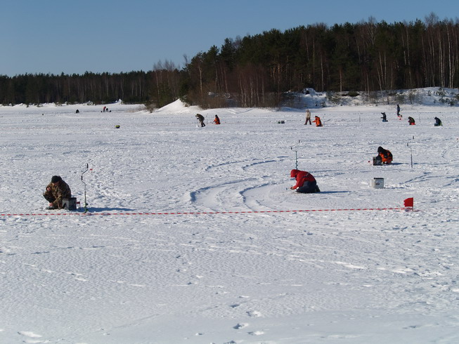 Picture 012.jpg