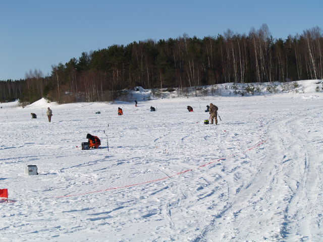 Picture 016.jpg