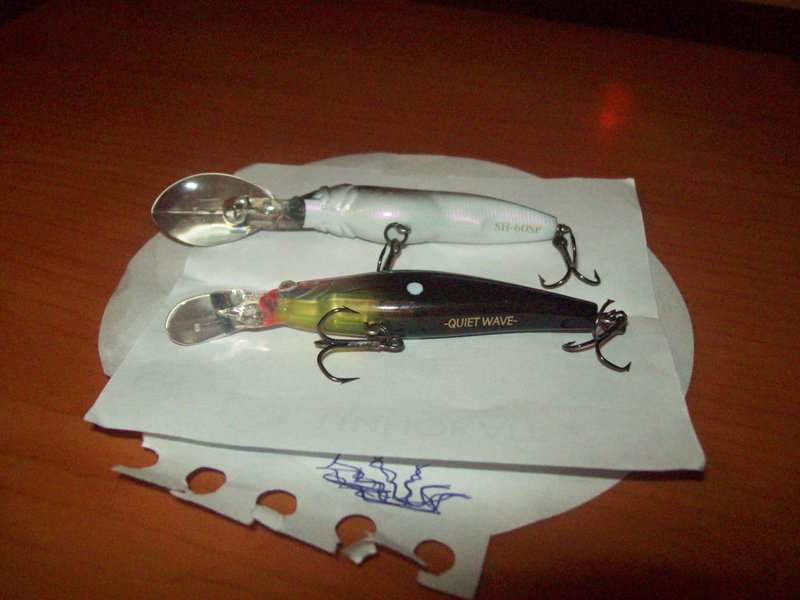 100_3406.JPG