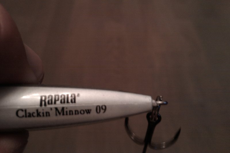 IMAG0410.jpg