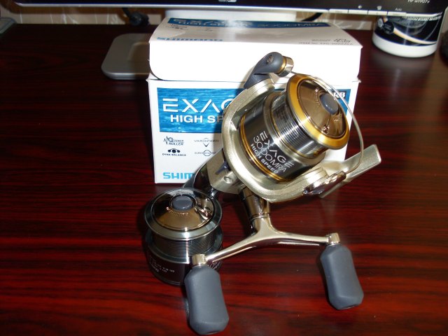 SL382973.JPG