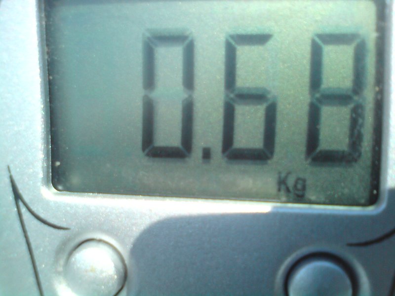 DSC00882.JPG
