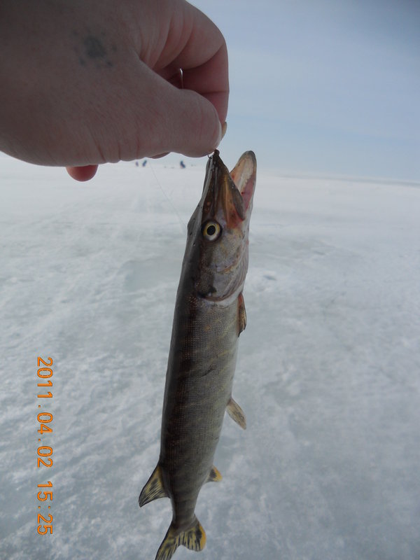 DSCN1538.JPG