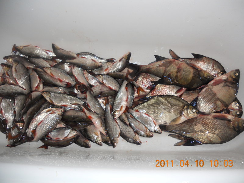 DSCN1565.JPG