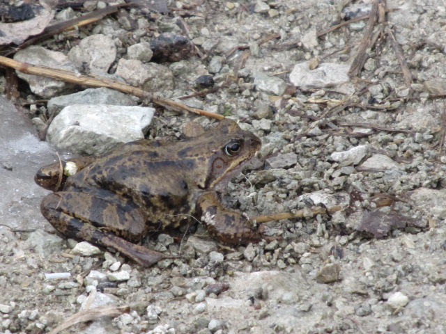 Picture 007.jpg