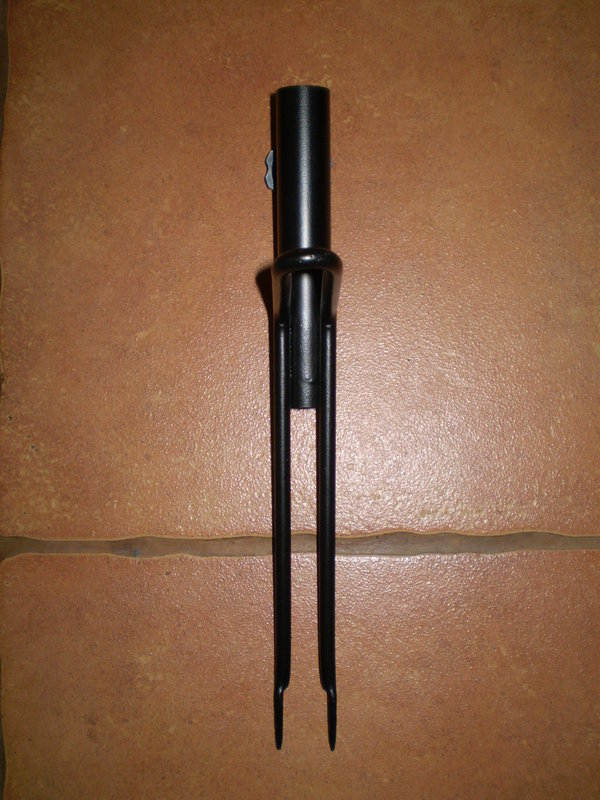 P3100135.JPG