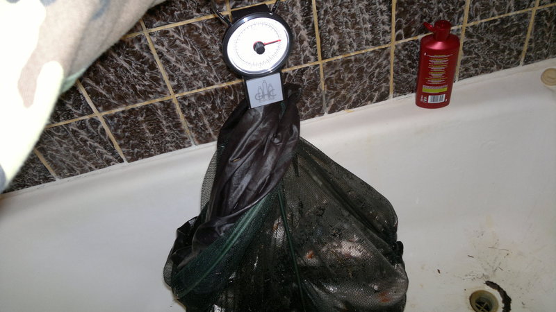 22042011486.jpg